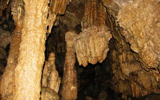 Súgó-barlang látogatása túravezetővel